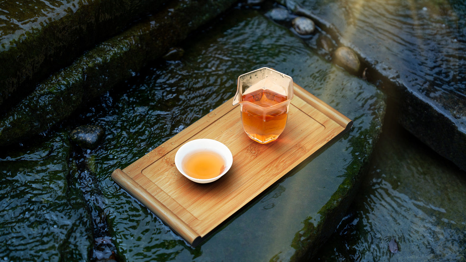 Infuse Muse