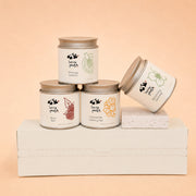 Infuse Muse Discovery Gift Set