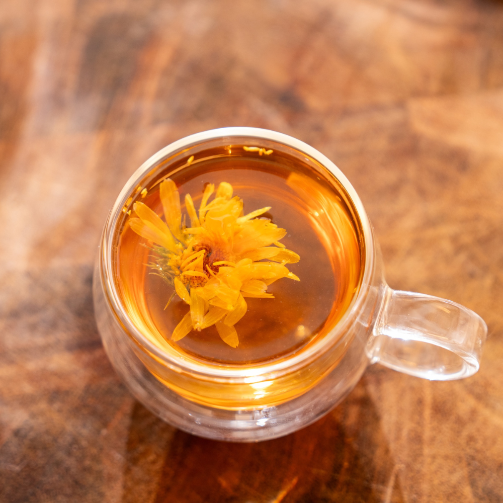 Infuse Muse 